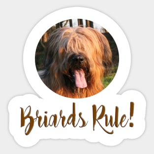 Briards Rule! Sticker